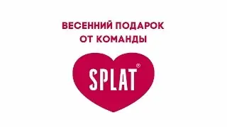 SPLAT Цветы