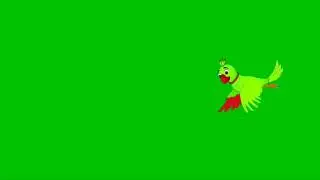 green screen cartoon birds /green screen flying bird /nocopyright /flying parrot