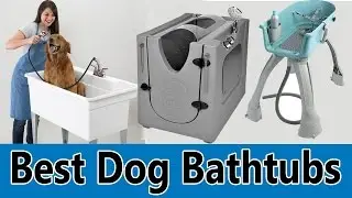 Best Dog Bathtubs 2020 - Top 5  Best Dog Bathtubs Review
