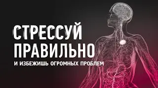 Как прожить СТРЕСС до конца и ПОЛНОСТЬЮ ВОССТАНОВИТЬСЯ? Твое тело это оценит