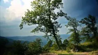 Moi Palz - Eine Hymne für die Pfalz von Alexander Entzminger ( HD )
