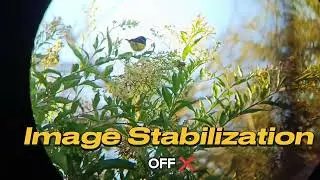 Image Stabilization demo 2 - Opticron Imagic IS 16x42 Binoculars