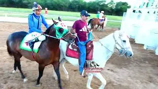 EL MACARIO VS LA LEONA  200 YDS