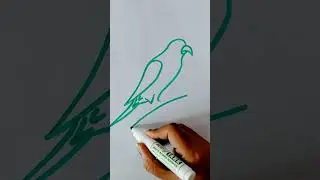 Easy Parrot🦜🦜 Drawing  #howtodraw #kidsdrawing #shorts @theartandcraftroom