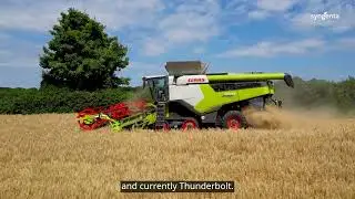 21 years of HYVIDO® Hybrid Barley