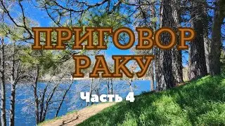Приговор раку. Психоонкология