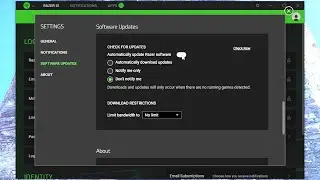 How to disable the auto updates on Razer Synapse?