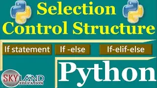 Selection Control Structure in Python || if elif else statement in python || Python Tutorial