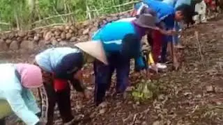NGGUDA NDIHA - Tradisi Ndai Mbojo
