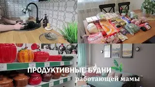 ПРОДУКТИВНЫЕ БУДНИ| Закупка продуктов| Уборка| Готовка| Новинки для кухни| Прогулка по парку