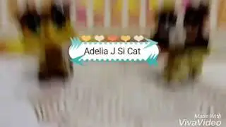 Клип lps:Девушка в чёрном
