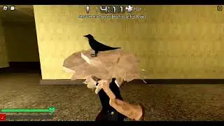 ROBLOX Bear* Backrooms All puzzles location