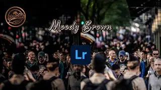 MOODY BROWN PRESET | LIGHTROOM PRESET | CROWD PEOPLE | LINK IN DESCRIPTION | themoodytone