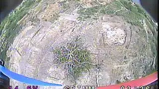 FPV Дикий Сад Николаев