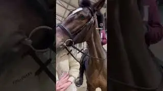 Вся суть Гоши в одном видео))) 