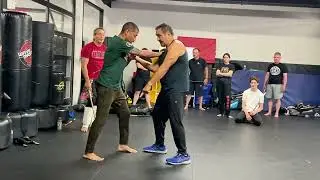 Empty hand against stick disarm #martialarts #fma