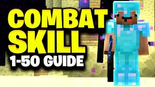 FASTEST Way to Level Up Combat Skill in Hypixel Skyblock!