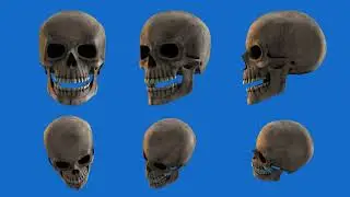 Green Background Video Skull