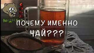 Почему именно ЧАЙ??? Или ВОДА, как универсальный растворитель (Школа травоведения, Занятие № 20)
