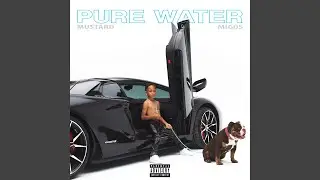 Pure Water