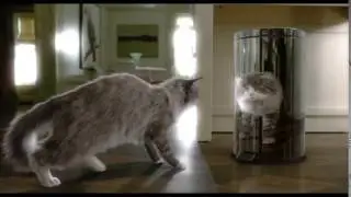 นี่พ่อไงในร่างเหมียว  -  Nine Lives (เสียงไทย)