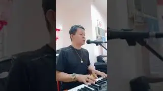Never Never Never with vocal...