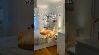 #егэанглийский #егэ Записаться в летнюю школу можно в ВК «Английский и котики»