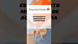 Activación Meridiano Pulmón e Intestino Grueso