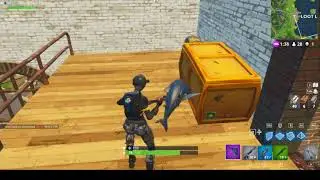 Random fortnite gameplay