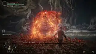 300 Hours in Elden Ring: Malenia, Blade of Miquella [Level 1, Solo, No Damage]