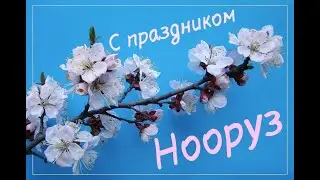 Встречаем Нооруз!!!