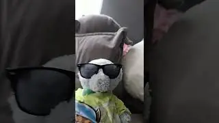 Teddy bear , but still on the trend #video #youtube #shorts