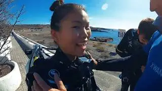 Discover Scuba Diving in Tenerife