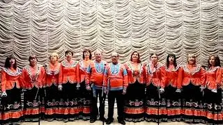 Моё село