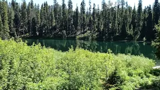 first live stream - test