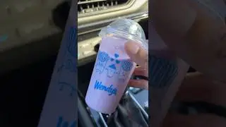 Wendy’s NEW Triple Berry Frosty