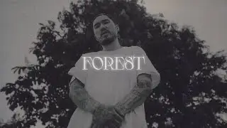[FREE] СКРИПТОНИТ + HUGO LOUD + BATO + SALUKI TYPE BEAT - FOREST
