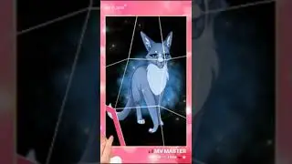Синяя звезда и Жёлудь коты воители