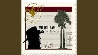 Mucho Llano Pa Un Llanero