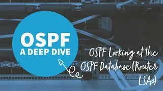 OSPF Looking at the OSPF Database Router LSAs