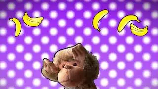 LA SCIMMIETTA GRATTA GRATTA   Canzoni per bambini e bimbi piccoli   baby music cartoon