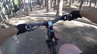 Almost Crashed on bike