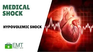 Shock - Hypovolemic Shock|  Adult First Aid  | EMT First Aid Training