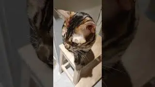 нас почти 300!!!!