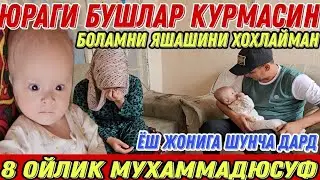 ИЛТИМОС ЮРАГИ БУШЛАР КУРМАСИН/ 8 ОЙЛИК МУХАММАД ЮСУФ БОР ХАКИКАТЛАР