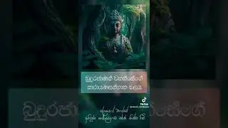 බුදුරජාණන් වහන්සේගේ අනන්ත ගුණ
