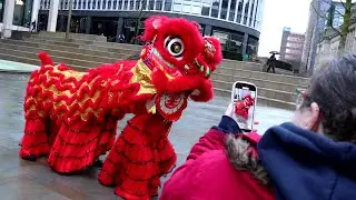 Paradise: Chinese New Year Lion Dance