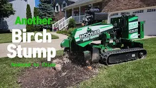 Stump Grinding in Crown Point, IN | Carlton 5014 NTX in Action