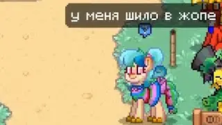 понитаун