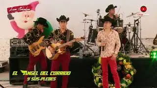 El Angel del Corrido - Las 4 camionetas #video #musica #trending #trend #fyp #viralvideo #viral